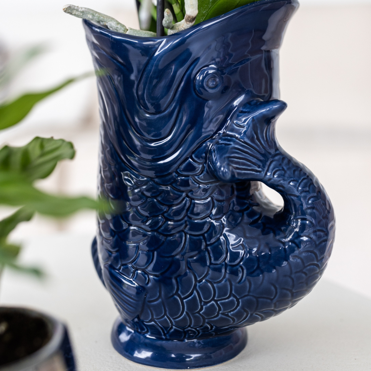 Set mit Orchidee Lima & Sukkulenten – In Keramiktöpfen Ø9cm & Ø6cm – Blühende Zimmerpflanze mit Sukkulenten – Dekoratives Pflanzenset – Frisch vom Züchter 