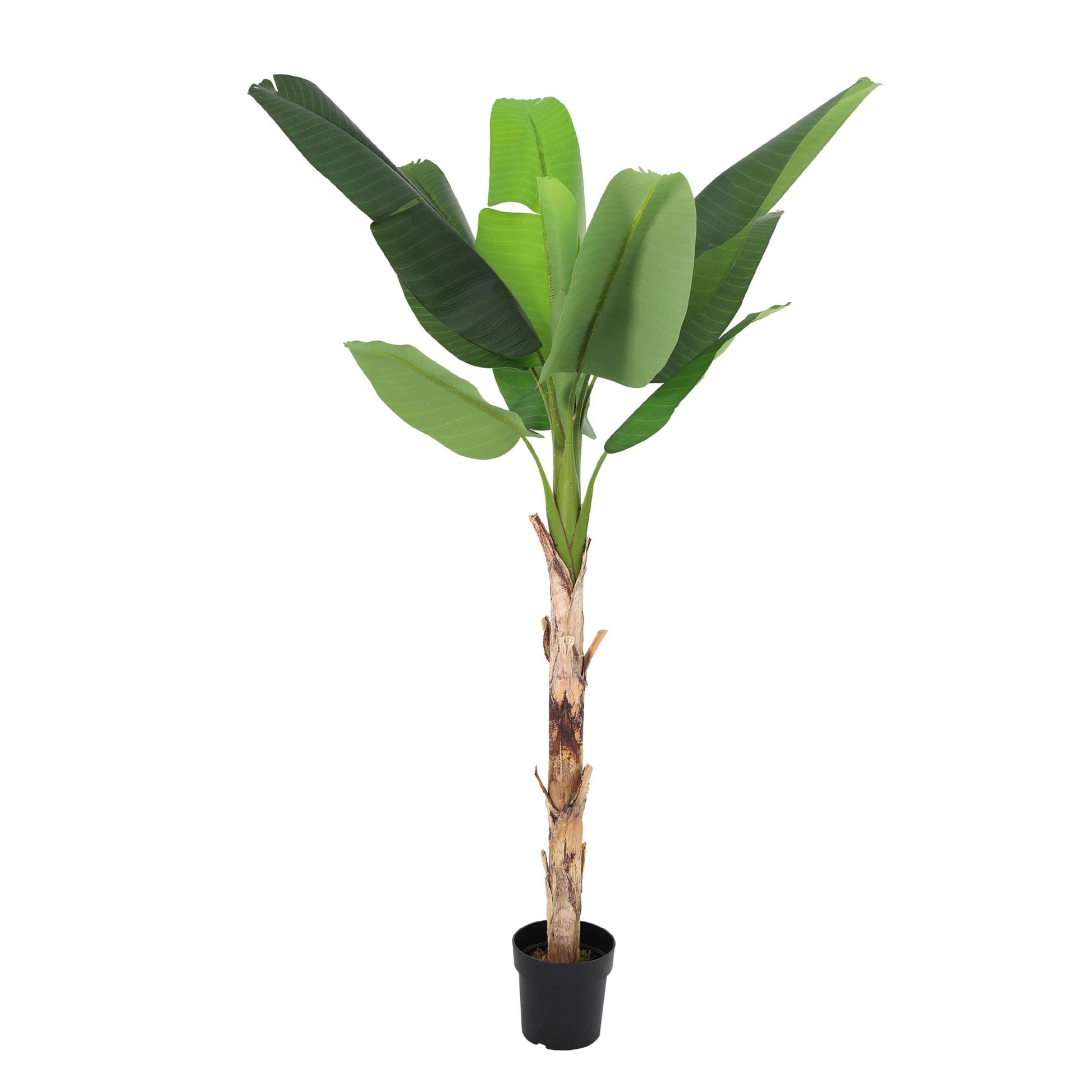 ARTIFICIAL Banana plant Musa - 190cm 