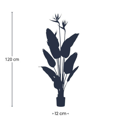 Strelitzia mit Blüten – 120cm – Kunstpflanze im schwarzen Topf – tropischer Blickfang – hochwertige Dekopflanze für Wohnzimmer, Büro & Flur – pflegeleicht
