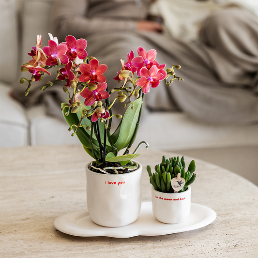 Kolibri Home | I Love You Ziertopf - Ø9cm 