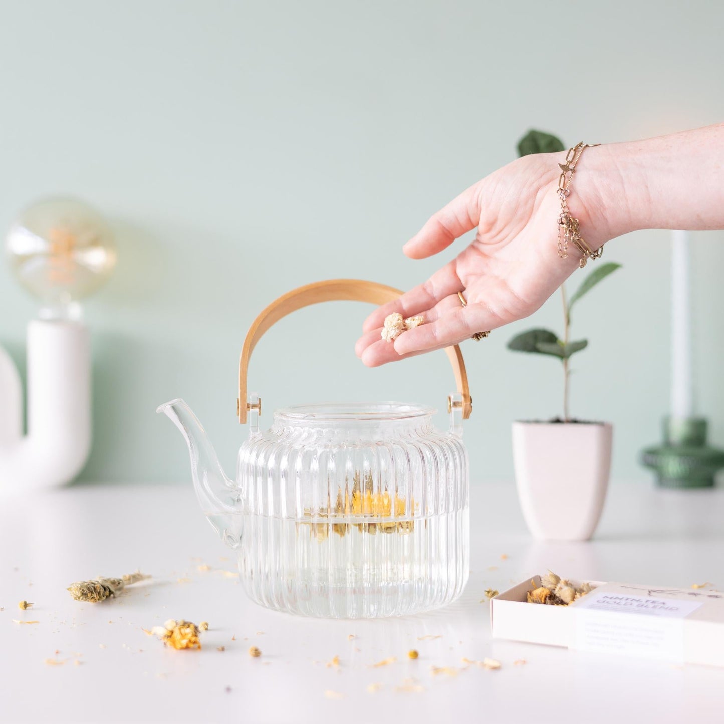 Teepause Geschenkset – Bio Gold Blend Tee & Baby-Teepflanze Camellia sinensis – Briefkastengeschenk – Nachhaltig & plastikfrei – Inkl. Pflegetipps – Für Teeliebhaber 