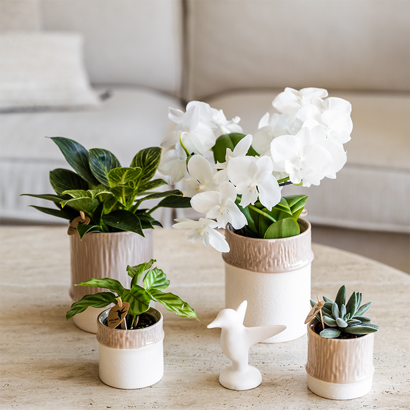 Kolibri Home | Tree Übertopf - Sand - Ø9cm 