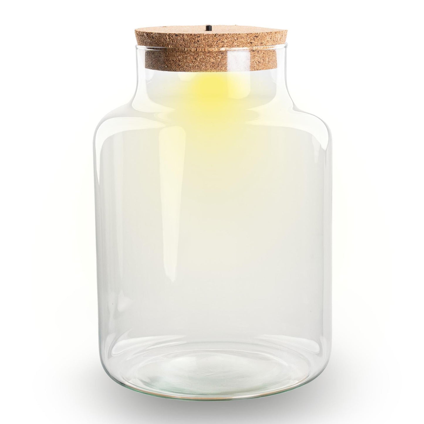Terrarium fles met kurk - Little Milky met led kurk - Gesloten groot terrarium ↑ 24.5 cm 