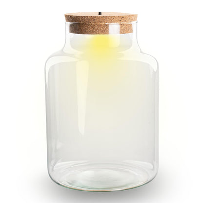 Terrarium fles met kurk - Little Milky met led kurk - Gesloten groot terrarium ↑ 24.5 cm 