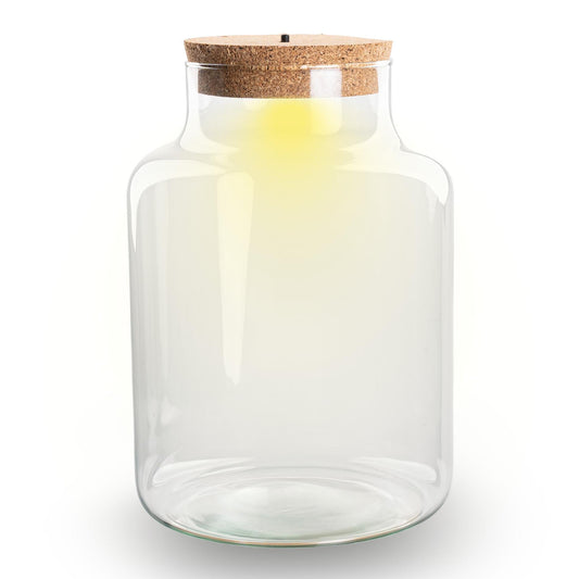 Terrarium fles met kurk - Little Milky met led kurk - Gesloten groot terrarium ↑ 24.5 cm 