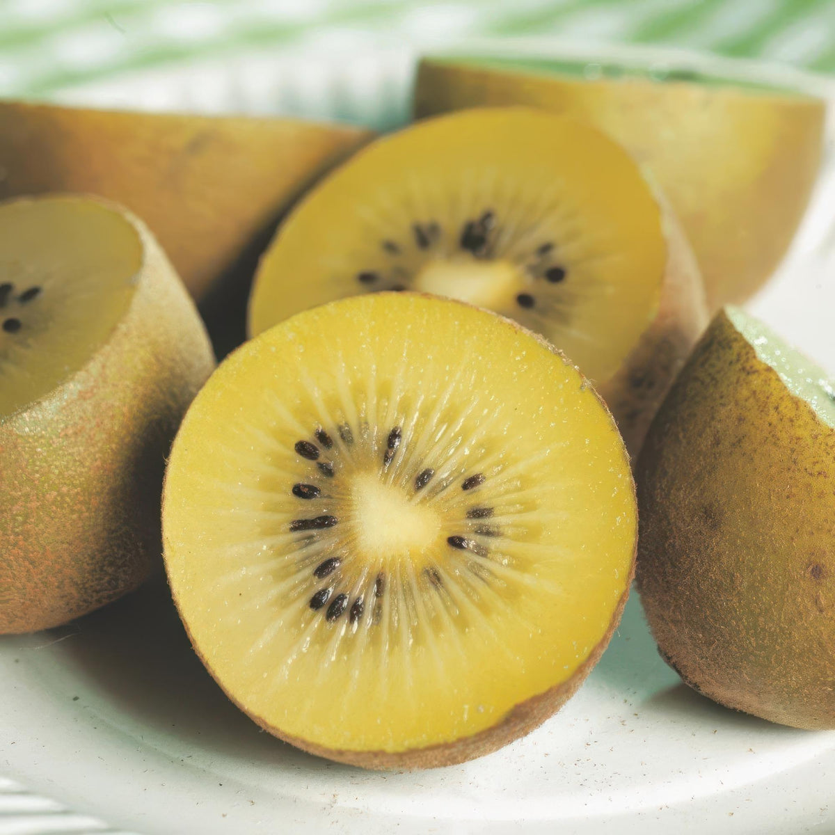 Green boutiQ - Obstpflanze - Actinidia Weiki & Golden Kiwi - Kiwipflanze - 1 Männlich - 1 Weiblich - Pflanzen - Gelb - Topf 15cm - Höhe 50cm 