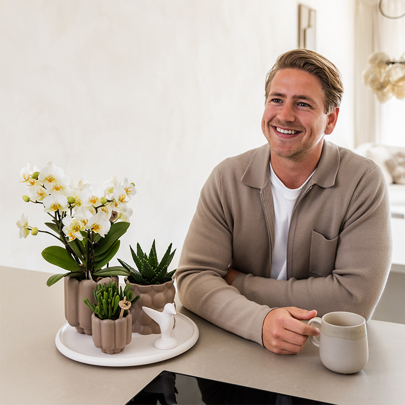 Kolibri Orchids | Geschenkset Slow Living | Grüne Pflanzen mit Weißer Phalaenopsis Orchidee Lausanne in Beigen Keramiktöpfen auf Weißem Tablett 