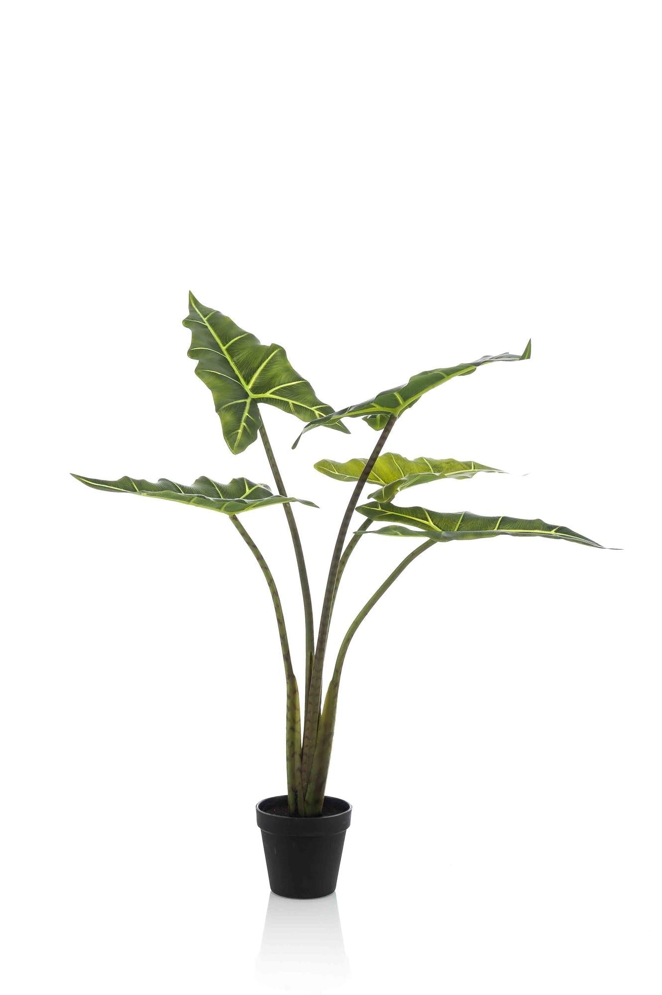 Kunstpflanze - Alocasia Frydek - 80 cm 