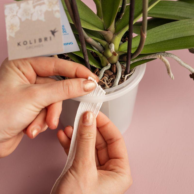Kolibri Home | Como Ziertopf inkl. Bewässerungssystem - 2x Ø9cm 