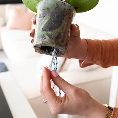 Kolibri Home | WaterWick Bewässerungsdocht (3 Stück) 