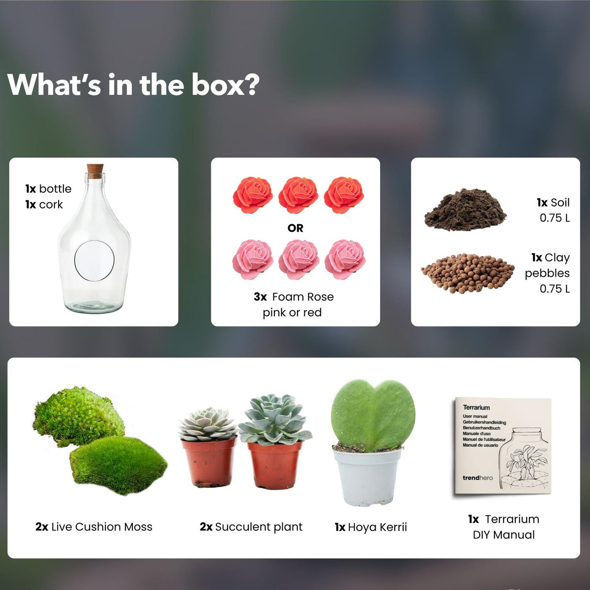 Love in a Bottle - DIY Open Planten terrarium - Ø 16 cm ↑ 30 cm 