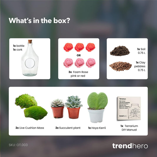 Love in a Bottle - DIY Open Planten terrarium - Ø 16 cm ↑ 30 cm 