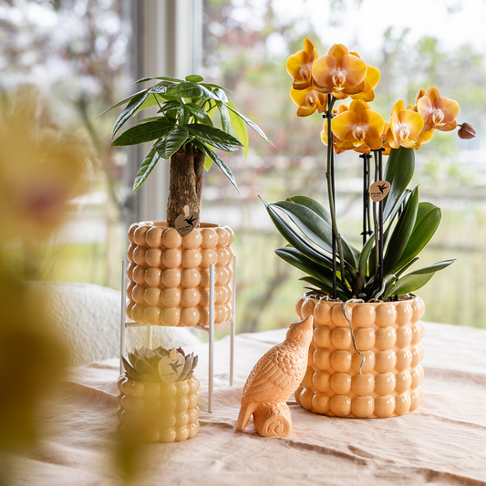 Kolibri Home | Poppy Ziertopf - Peach - Ø6cm 