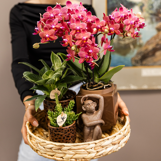 Leoparden-Ziertopf – Blumentopf Ø9 cm – Keramik Übertopf mit Leopardenmuster – Dekorativer Topf für Zimmerpflanzen – Modern & auffällig – Braun/Schwarz 