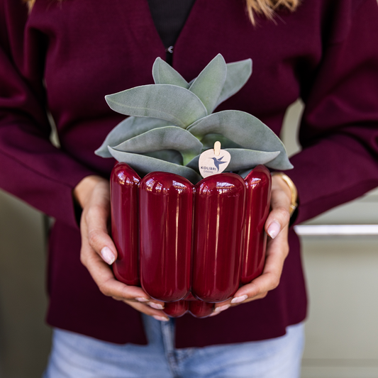 Kolibri Home | Retro Shine Übertopf - Red - Ø12cm 