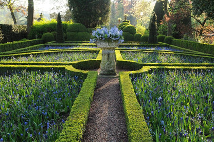 Buxus Sempervirens Heckenpflanzen – 24 Pflanzen –  Immergrüner Buchsbaum – 10–25cm Höhe – Ø9cm – Ideal für Hecken Formschnitt Kugeln & Gartenstruktur