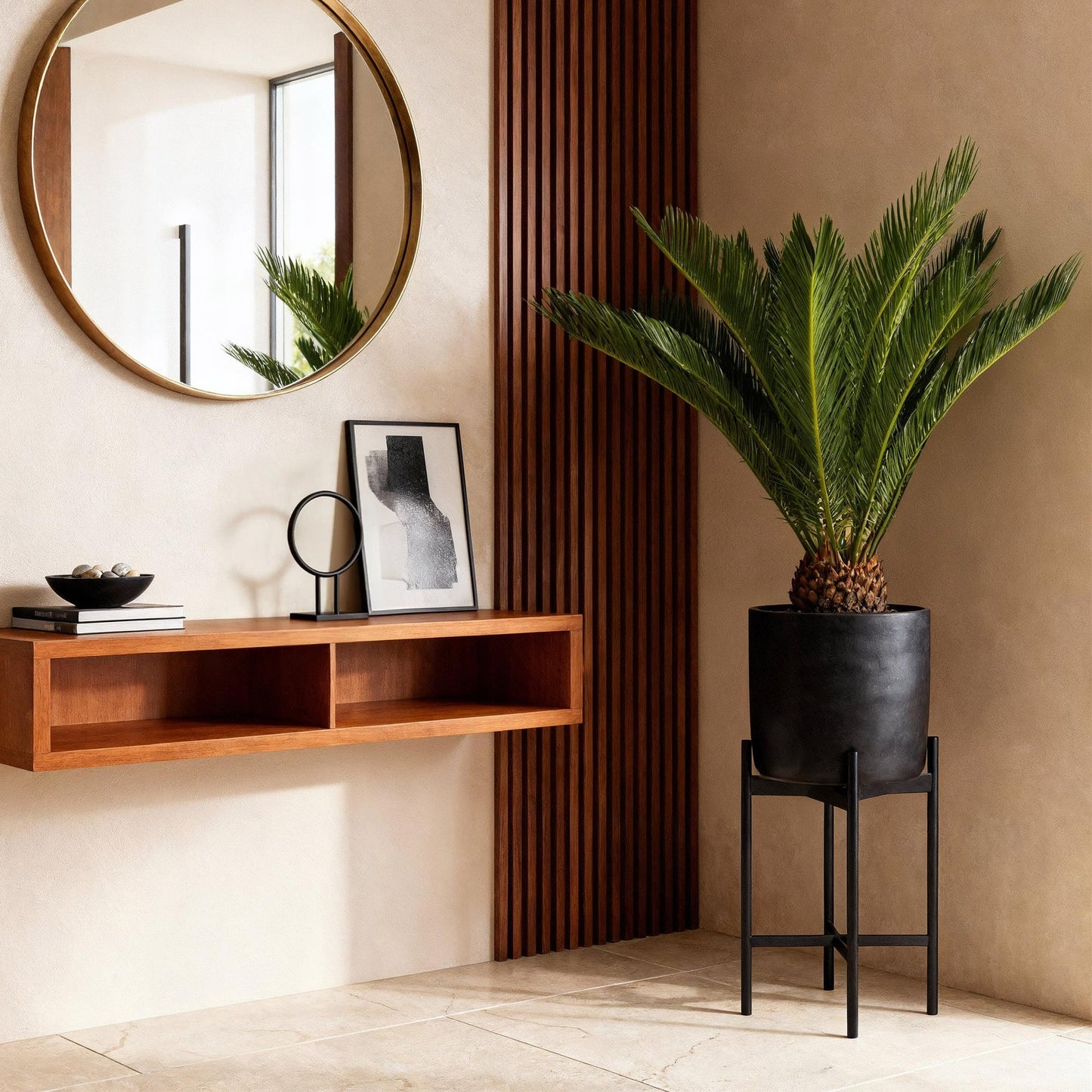 Cycas Revoluta – Palmfarn – 70cm – 17cm – Pflegeleichte Zimmerpflanze mit fiederförmigen Blättern – Robuste Sago-Palme für elegante Innenräume 