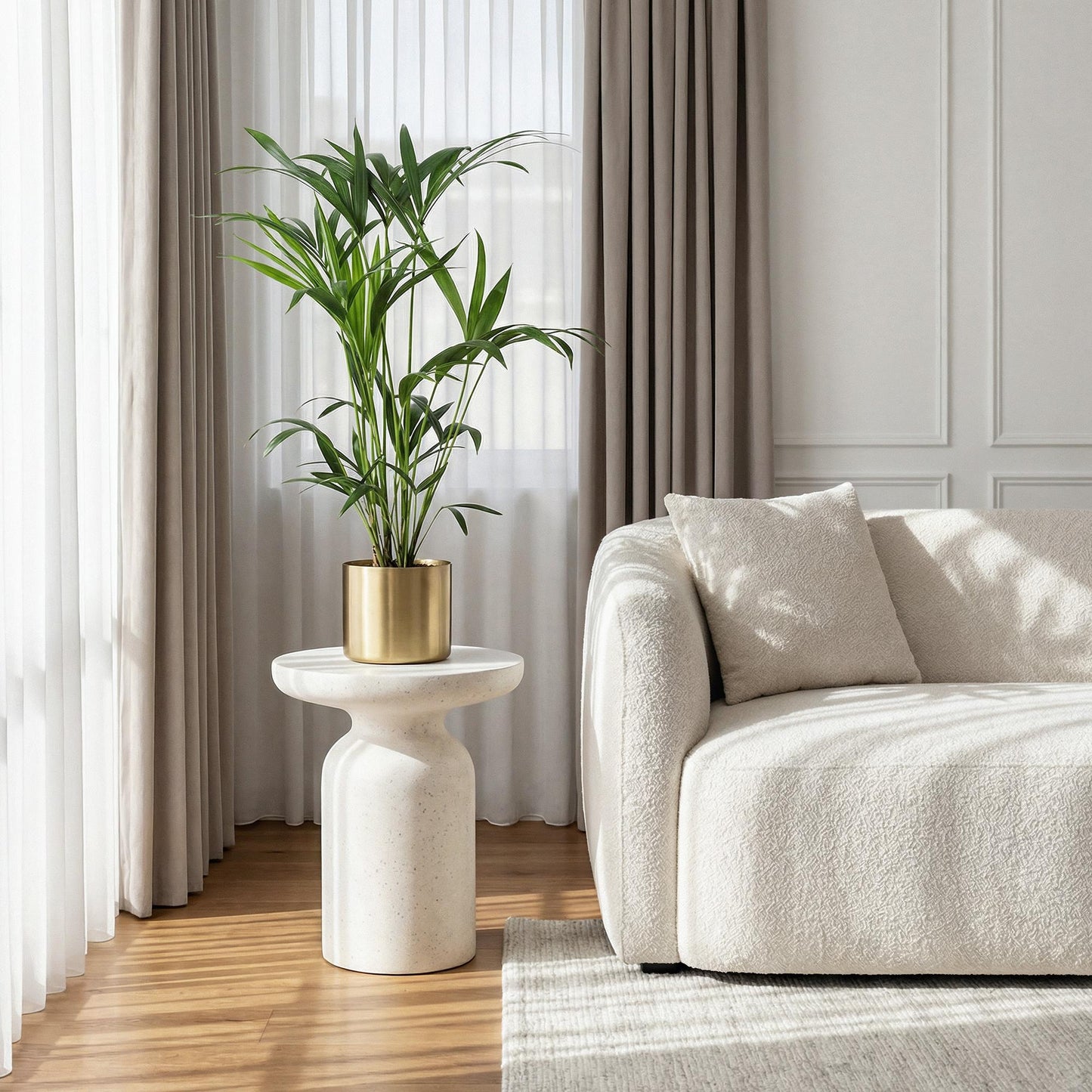 Howea Forsteriana – Kentia-Palme – 2 Pflanzen – 80–85cm – 19cm – Pflegeleichte Zimmerpalmen mit eleganten Wedeln – Tropische, luftreinigende Grünpflanzen für moderne Innenräume 