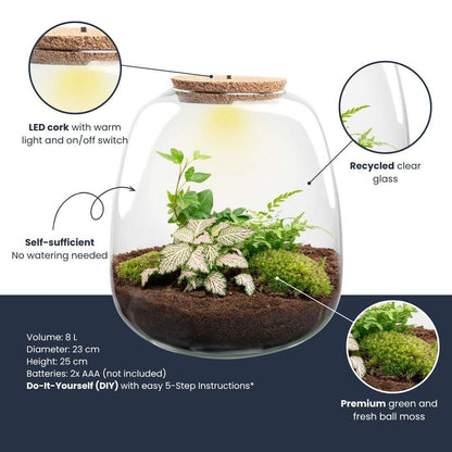 Flaschengarten „Emma“ – Bausatz mit LED-Korkdeckel – Ø23cm ↕25cm – DIY Pflanzenterrarium mit Efeu, Farn & Fittonia Pink Tiger – Selbstversorgendes Mini-Ökosystem aus Glas 