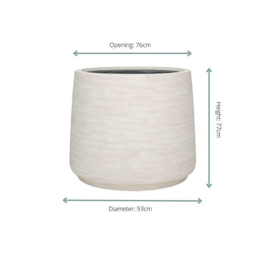 Jumbo Patt Ivory Washed - D93xH77 