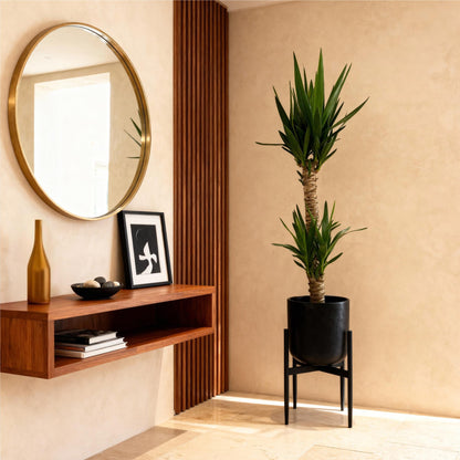 Yucca Elephantipes – 120cm – 19cm – Pflegeleichte Zimmerpflanze mit schmalen Blättern – Robuste Palmlilie für helle & halbschattige Innenräume – Tropische Grünpflanze 