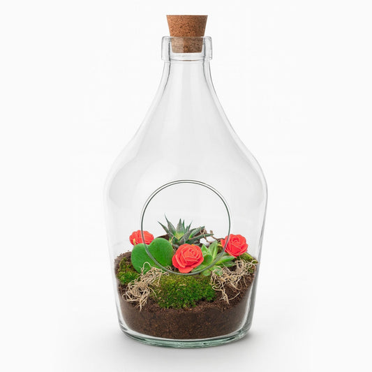 Love in a Bottle - DIY Open Planten terrarium - Ø 16 cm ↑ 30 cm 