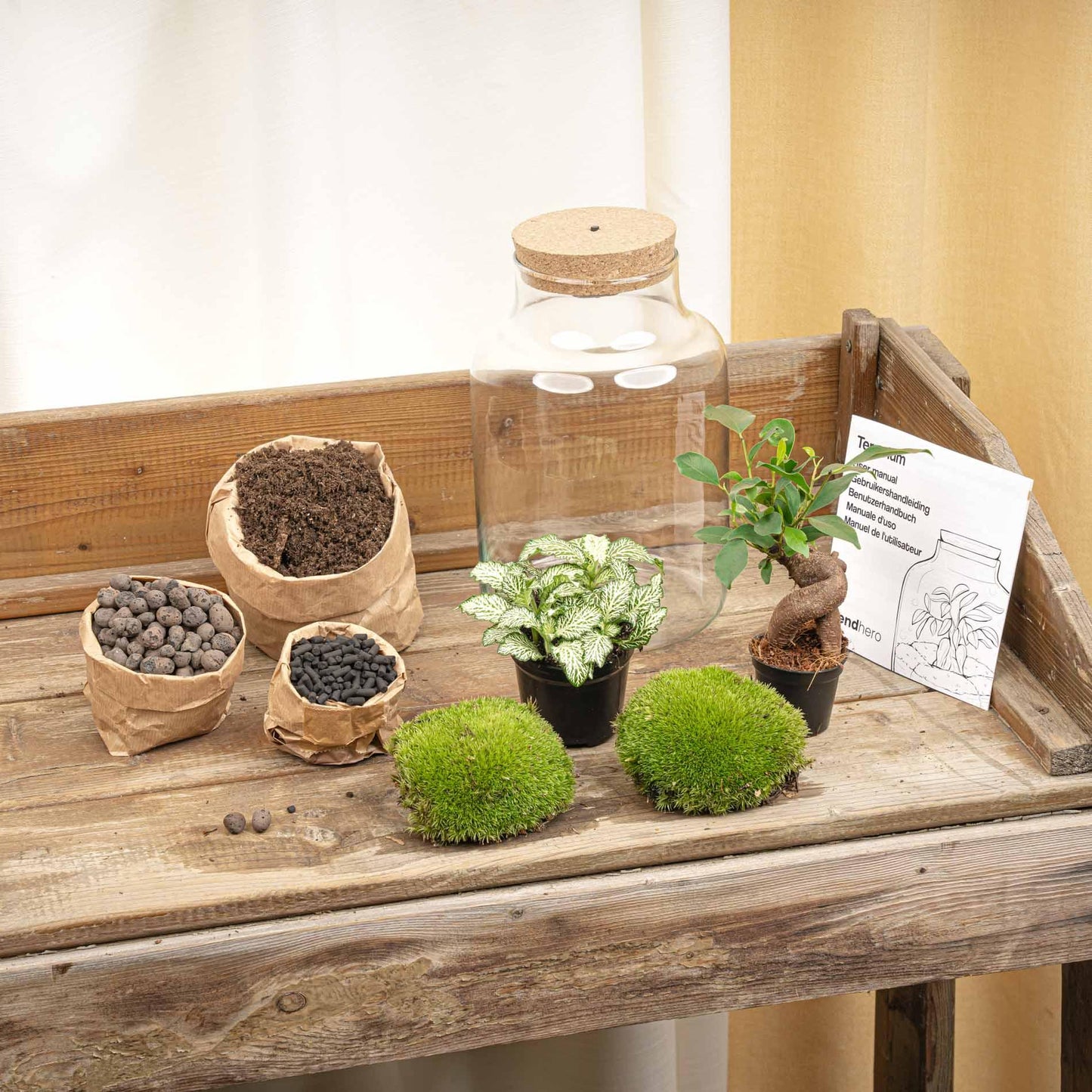 Flaschengarten - DIY Bausatz - Terrarium - Little Milky + LED ↑ 25 cm