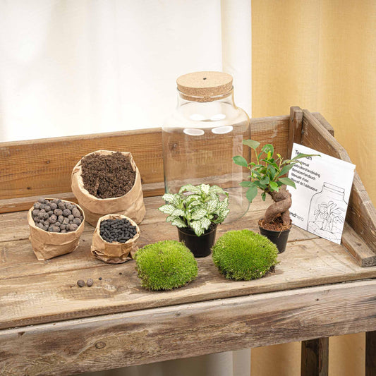 Flaschengarten - DIY Bausatz - Terrarium - Little Milky + LED ↑ 25 cm
