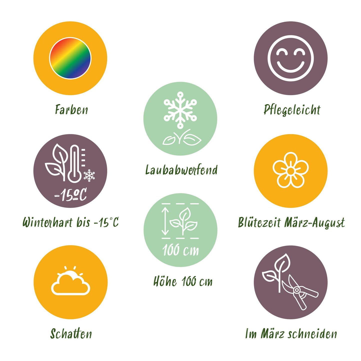 Staudenset – Schatten – 8 schattenverträgliche Stauden – Für 1 m² Beet – Verschiedene Farben – Pflegeleicht – Ideal für halbschattige & schattige Bereiche – Topf Ø11 cm