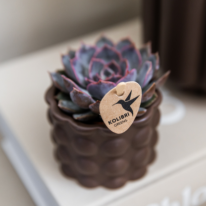 Kolibri Home | Cotton sierpot - Brown - Ø6cm 