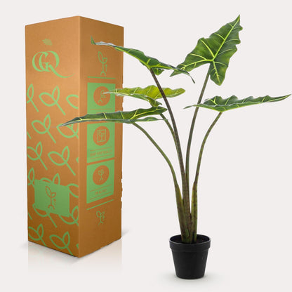Kunstpflanze - Alocasia Frydek - 80 cm 