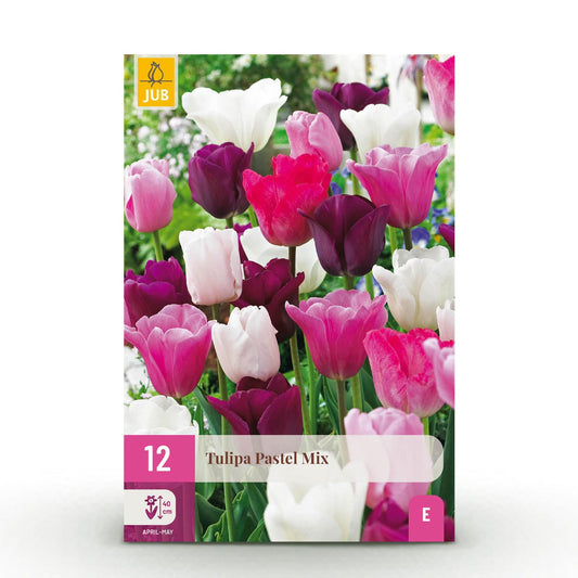 GreenboutiQ - Blumenzwiebeln - Tulp Pastel mix - Verschiedene Farben - 12 Stück - Zwiebelgröße 11/12 - XXL Pack 