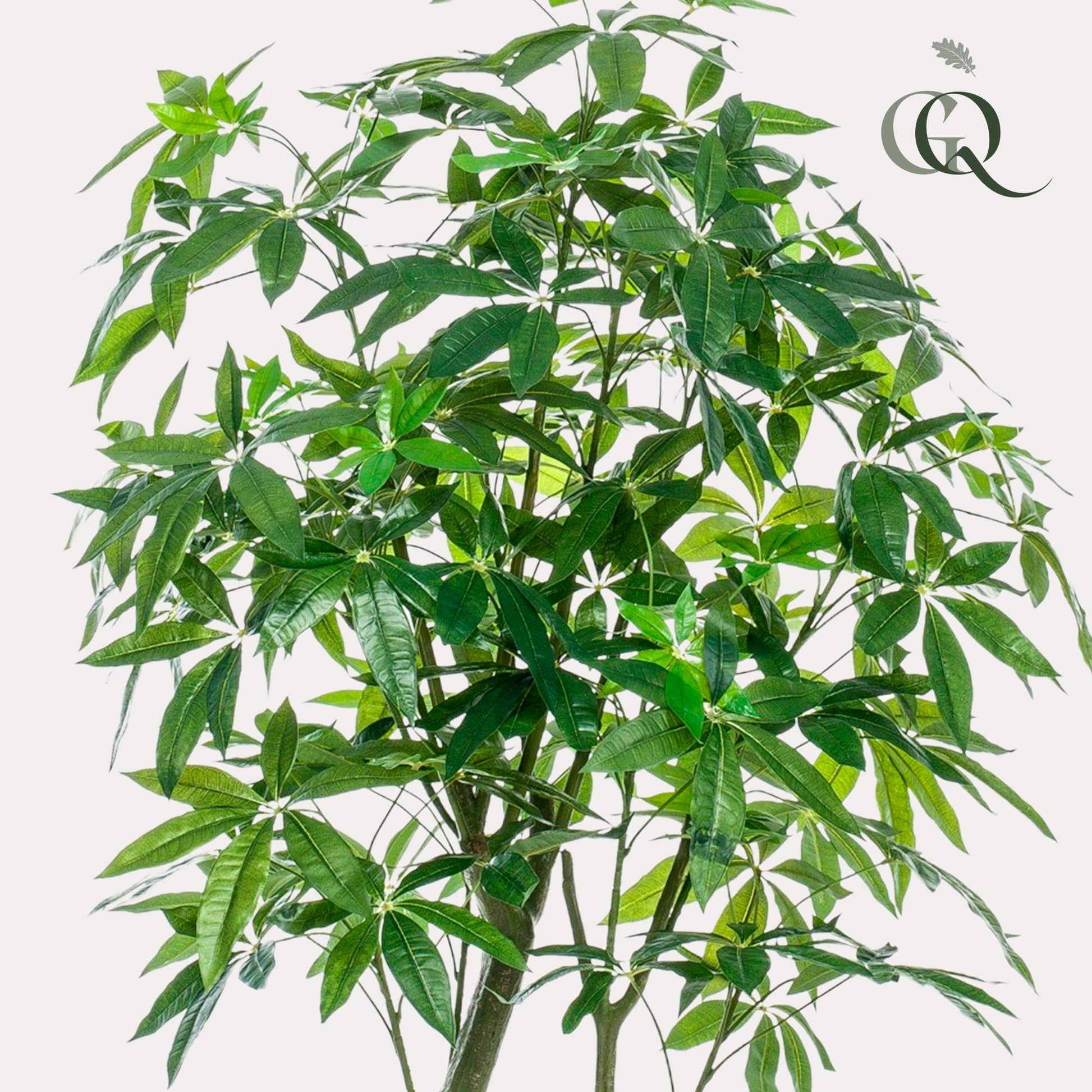 Kunstpflanze - Pachira Aquatica - Glückskastanie - 180 cm 