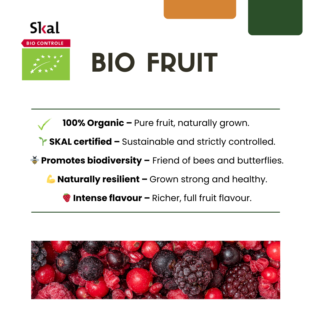 Bio Kiwi - Actinidia deliciosa - Ø13cm - ↨20cm - 3 Stück