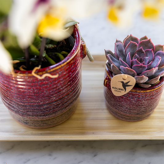 Kolibri Home | Aura sierpot - Ø9cm 