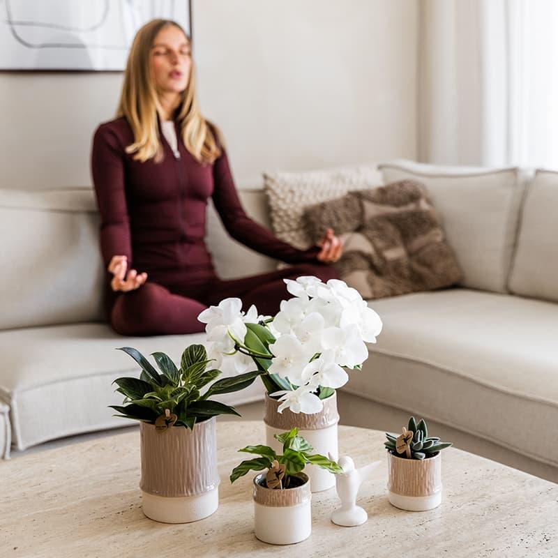 Kolibri Home | Bamboo Übertopf - Sand - Ø6cm 