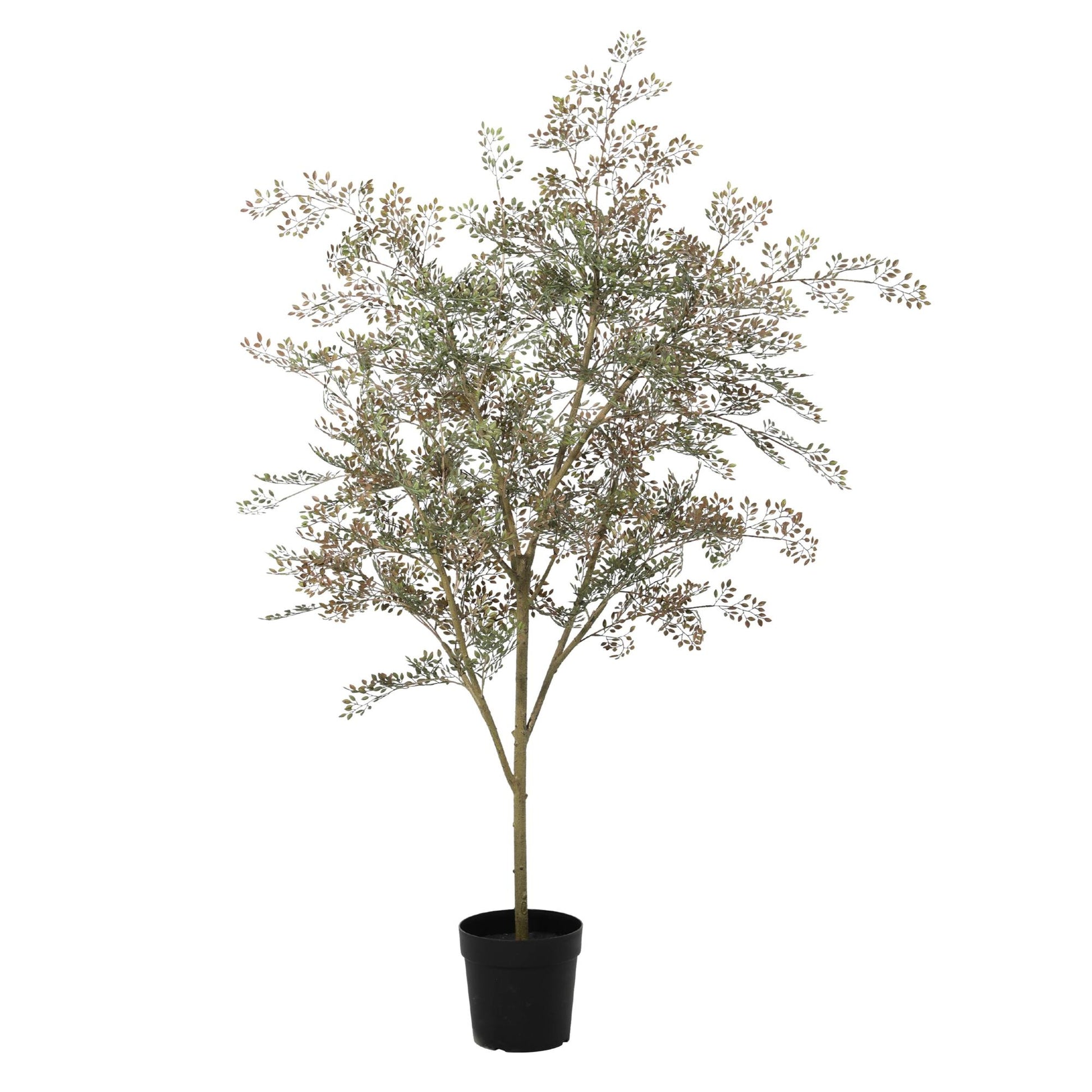 ARTIFICIAL Bucida - 165cm 