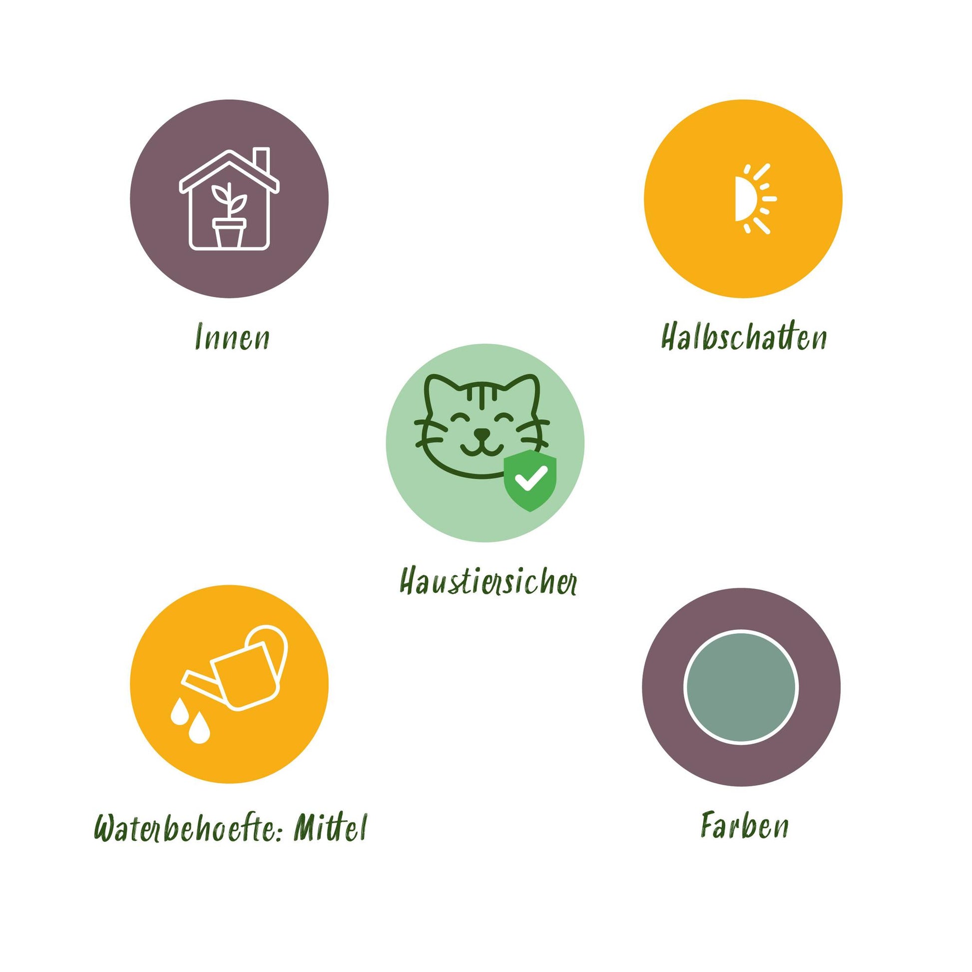 Green boutiQ - Zimmerpflanze - Phlebodium aureum Blue Star - Blaue Farn - Haustierfreundliche Pflanze - Blau - 4 Pflanzen - mit Potter Weiß - Topf 12cm - Höhe 25cm 