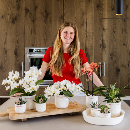 Kolibri Orchids | Geschenkset „Love You“ | Rote Phalaenopsis‑Orchidee Congo mit Grünpflanze in Love‑Übertopfen auf einer Cloud‑Platte 