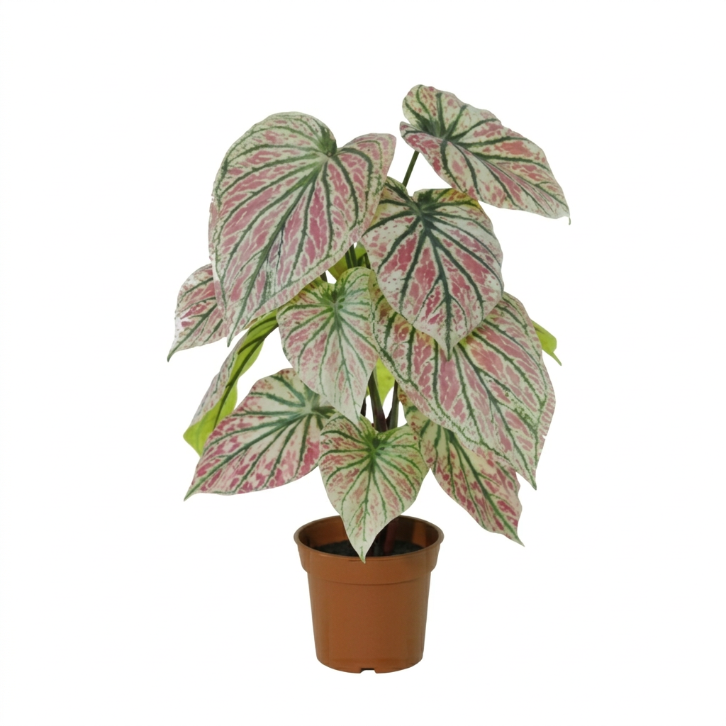 ARTIFICIAL Caladium green / pink - 57cm 