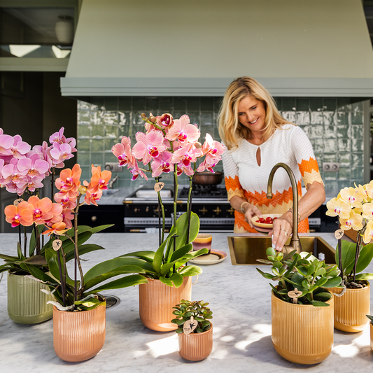 Kolibri Home | Flare Dekotopf - Ocher - Ø6cm 