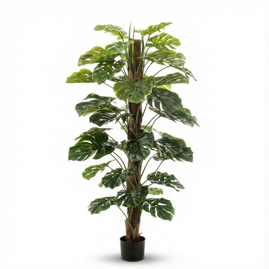 Monstera Kunstpflanze auf Ständer – ca.150cm – Künstliche Monstera mit dekorativem Standfuß – Pflegefreie Designpflanze für Wohnzimmer Büro & Empfang
