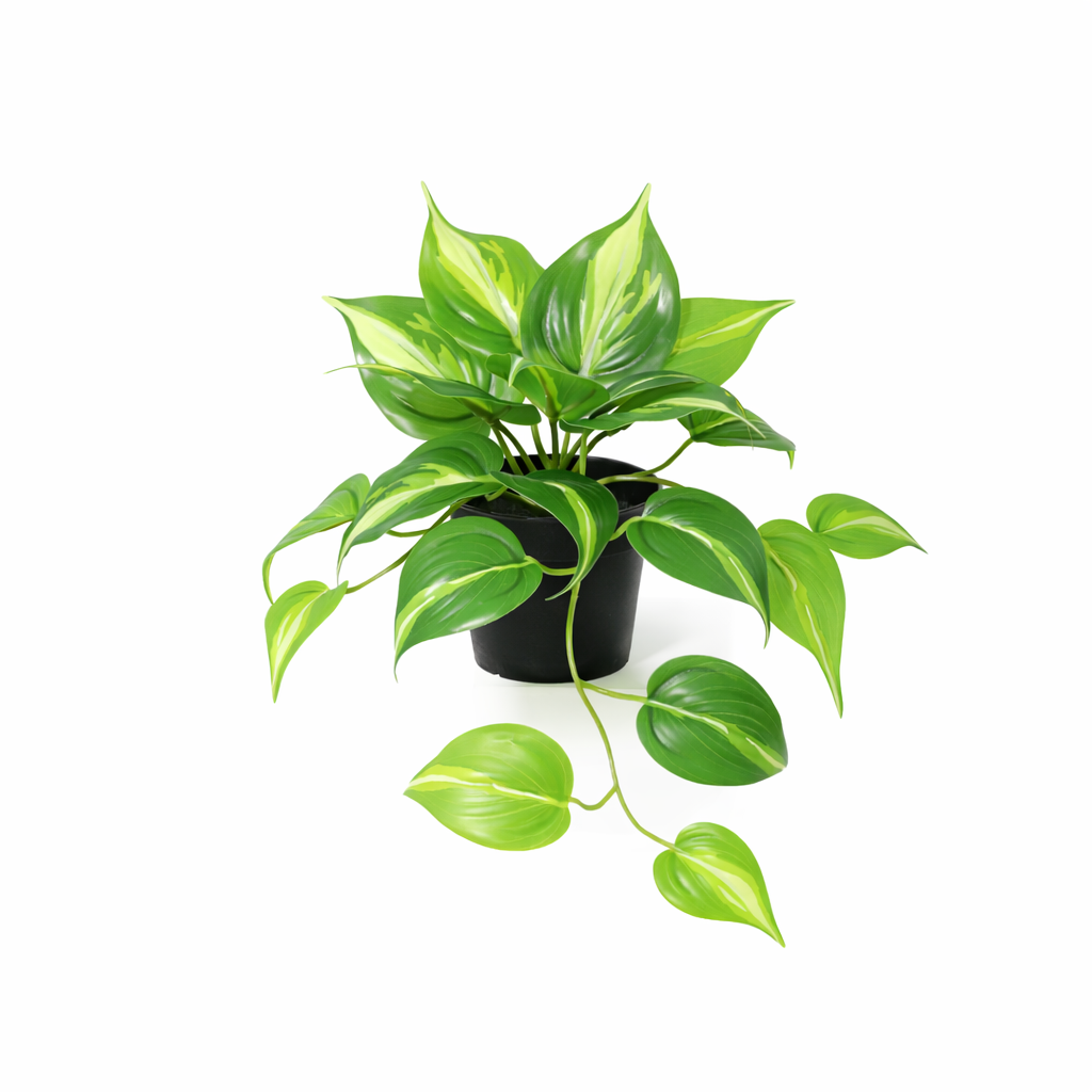 ARTIFICIAL Epipremnum Variegata - 23cm 