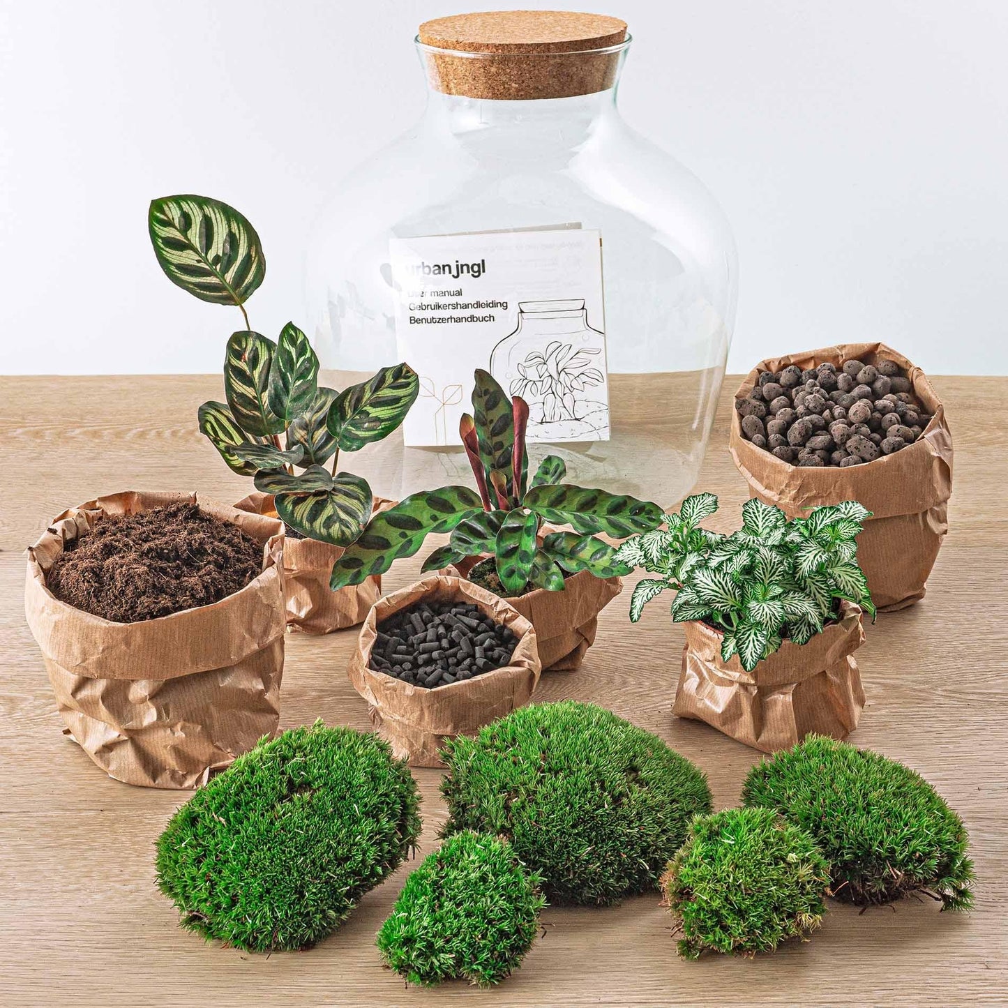 Flaschengarten - DIY Bausatz - Terrarium - Fat Joe - ↕ 30 cm 