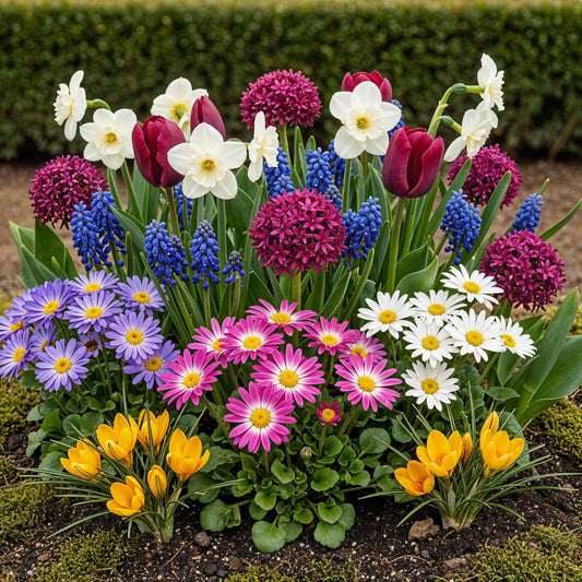 GreenboutiQ - Blumenzwiebeln - Bulb Garden Mix - Verschiedene Sorten und Farben - 125 Stück - Geschenkverpackung 