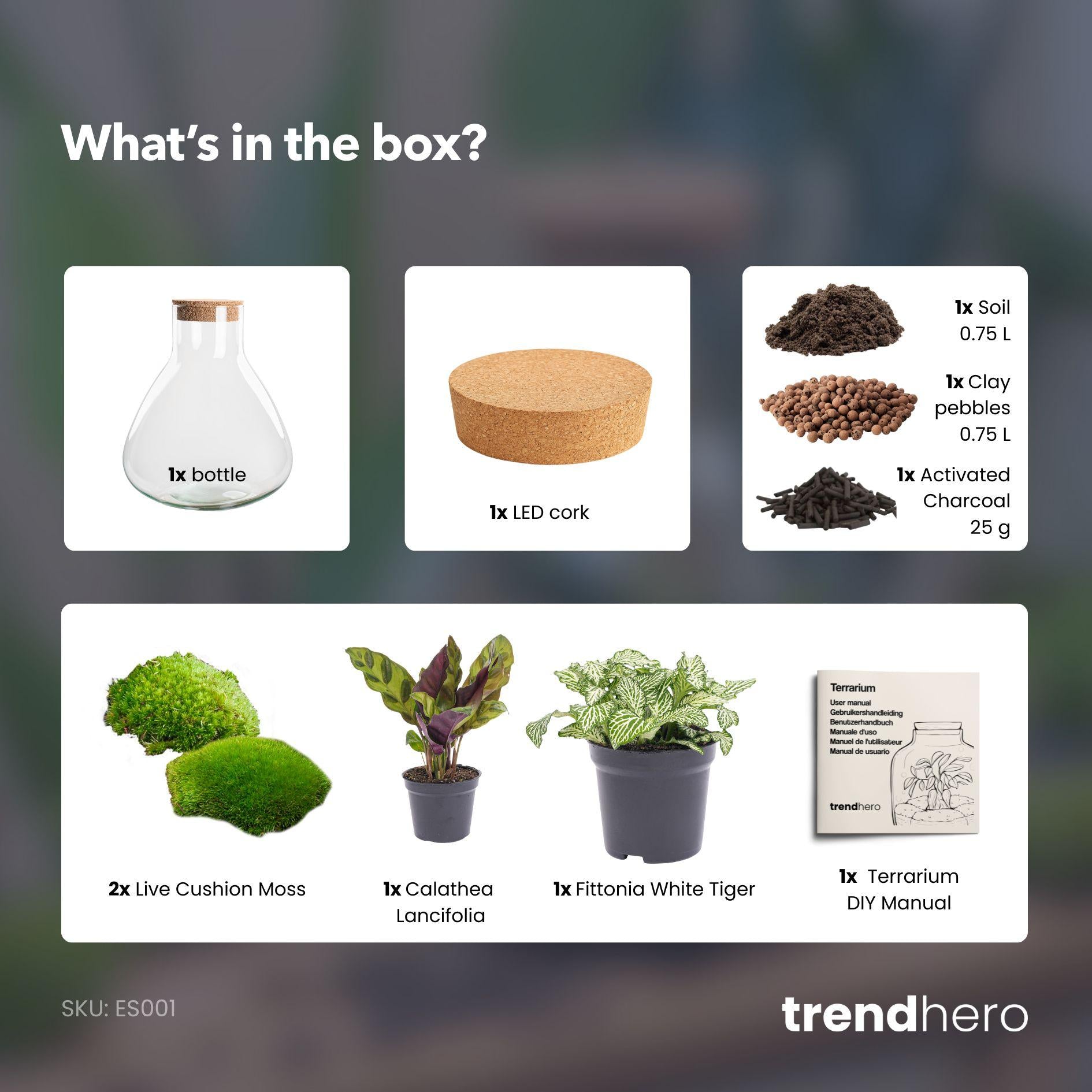 Flaschengarten - Sammie - ↕ 26 cm - No tools 