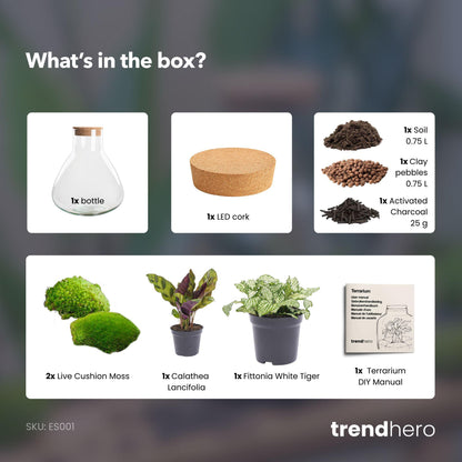 Flaschengarten - Sammie - ↕ 26 cm - No tools 