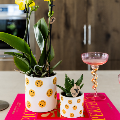 Kolibri Home | Smiley Übertopf - Ø9cm 