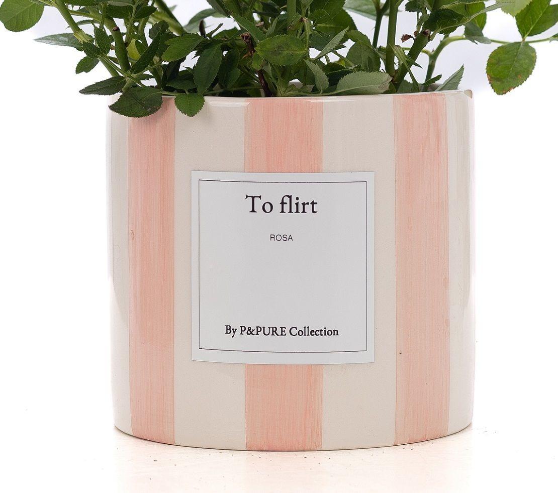 Rosa Light Pink Gift "To Flirt" WITH GREETING CARD! - Ø12cm - ↕30cm 