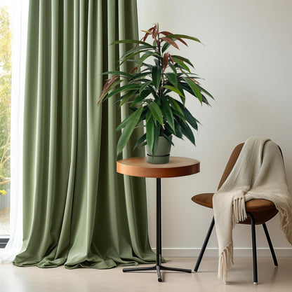 Gummibaum Ficus binnendijkii 'Amstel King' – Zimmerpflanze – Ø17cm – Höhe ca. 75cm – Pflegeleichte Grünpflanze mit glänzenden Blättern – Für Wohn- & Arbeitsräume 